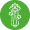 Apio-1.png